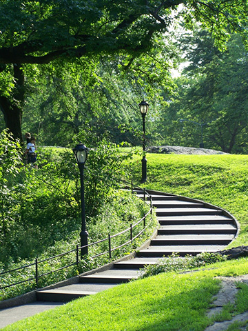 Alfred G. Feliu | Alternative Dispute Resolution | Contact Us