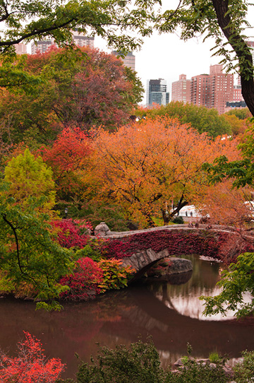 Alfred G. Feliu | Alternative Dispute Resolution | Mediation